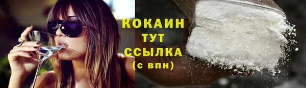 твердый Вязьма