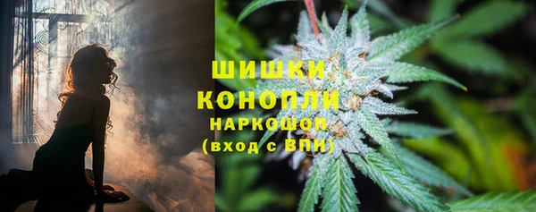 прущая мука Горняк
